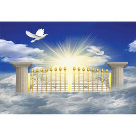 DORCEV 10x8ft Heaven Backdrop Gate of Heaven Paradise Gate Photography Background for Kids Baby Shower Baptism Banner Stairs to Heaven Blue Sky White Clouds Bird of Peace Easter Church Events Props