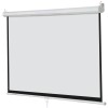 Segawe 100 Inch Manual 16:9 Pull Down Projector Screen Home