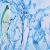 Bathroom Curtain with Hook Waterproof Elastic Hanging Shower Curtain for