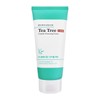 Bringgreen Tea Tree Cica Trouble Cleansing Foam 300ml Acne Cleansing
