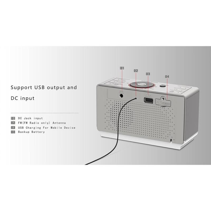 Alarm Clock Radio with Bluetooth Speaker, FM Radio, Dual Alarm