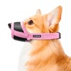 Dog Muzzle for Medium Dogs, Dog Muzzles to Prevent Biting