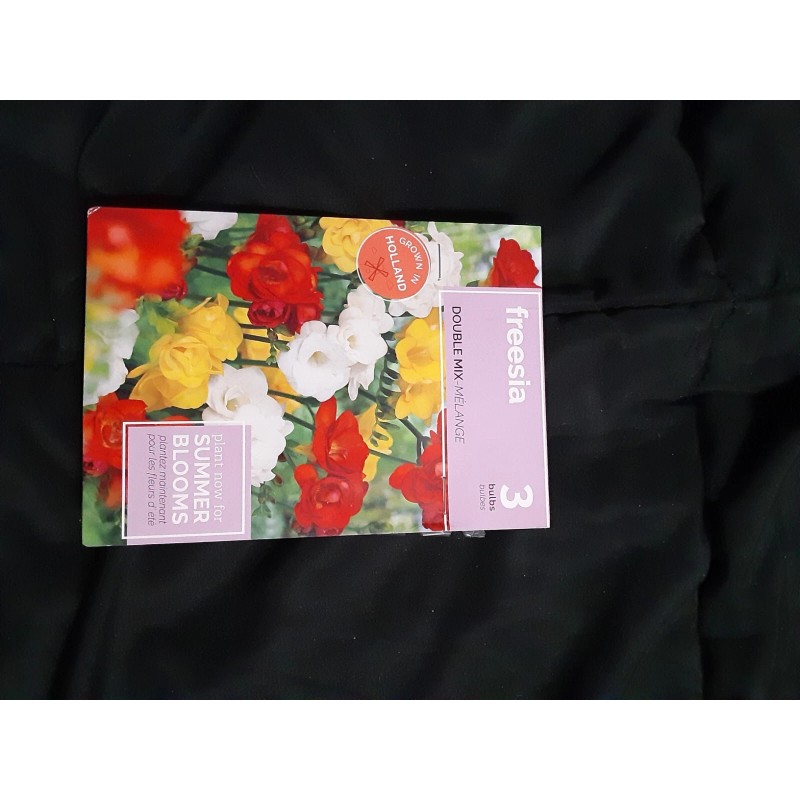 American Seed flower seeds mix set of 12 and 6