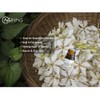 Gardenia & Jasmine Essential Oils - 100% Pure Organic Natural
