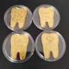 GOODCHI Tooth Fairy Gold Coins, Tooth Fairy Tooth Teeth Commemorative