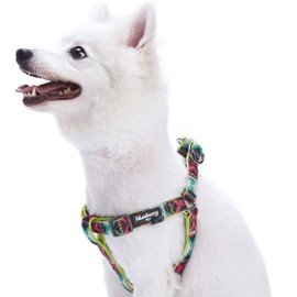 Blueberry Pet 2 Colors Soft & Comfy Step-in Southwestern Vintage Tribal Print Padded Dog Harness, Chest Girth 19.5" - 25.5", Extravagant Green, S/M, Adjustable Harnesses for Dogs
