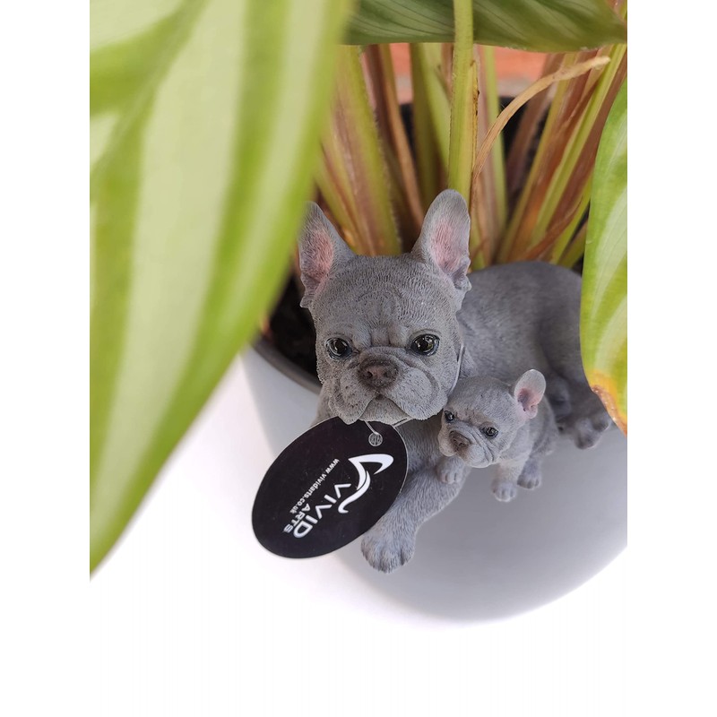 Vivid Arts Plant-Pals (Blue French Bulldog with Puppies)