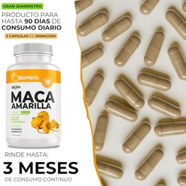 BioHerb Maca Amarilla Peruana Orgánica 100% Pura – 180 Cápsulas de 500 mg (Suministro 90 Días) – Superfood Natural – Alta Concentración y Absorción Po