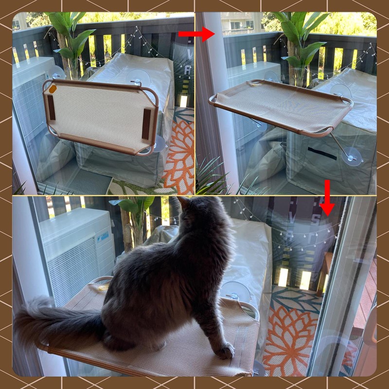 All Around 360° Sunbath and Lower Support Safety Iron Cat