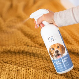 Messy Pet Dog Stain and Odor Remover – Carpet Stain Remover and Pet Odor Eliminator, Safe for Dogs & Puppies - 27.05 fl oz