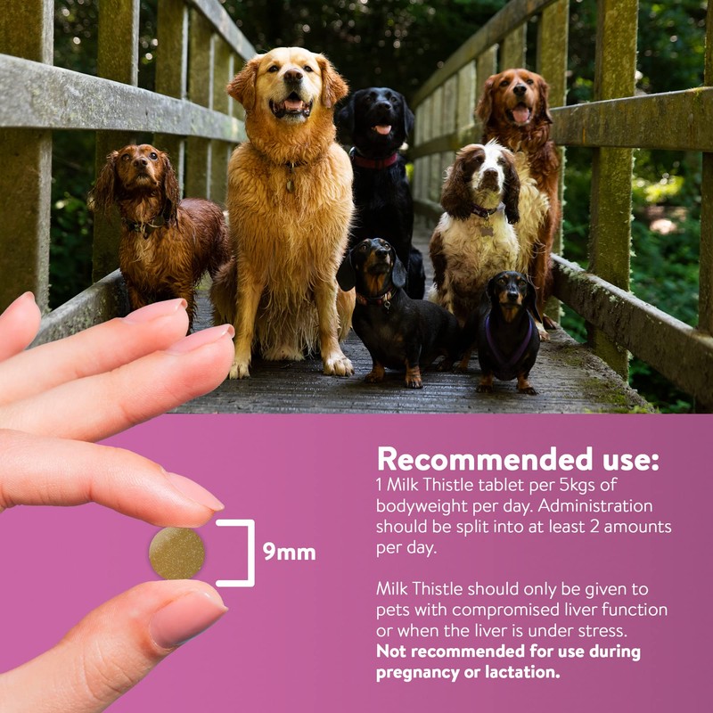 Dorwest Milk Thistle Tablets for Dogs and Cats, 200 Tablets,
