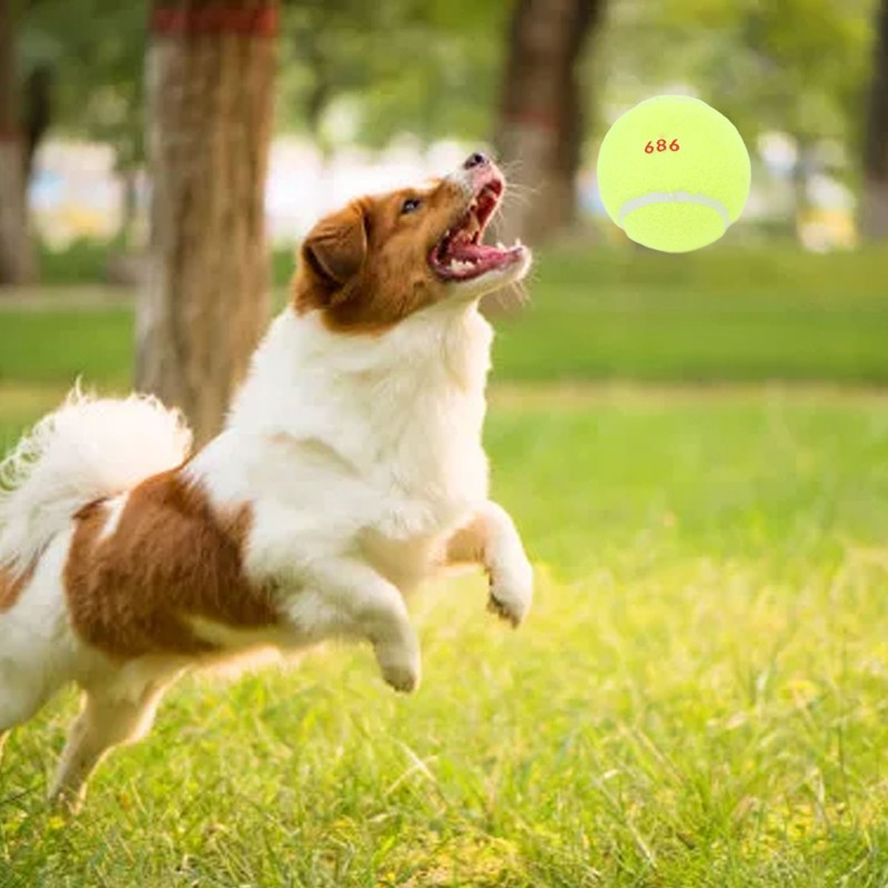3Pcs Training Tennis Balls 2.6in Chemical Fiber Silicone Accurate Portable