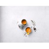 Zwilling Thermo Food Container, Integrated Bowl, Double Wall Insulation, Includes