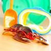 Toob "Safari Incredible Creatures Maine Lobster" Miniature (Multi-Colour)