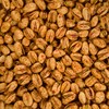 Smarty Stop Pistachio Collections (Lime Chili, 5 Pound (Pack of