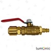 Lumonic Ball Valve 3/8 Inch with Quick Coupling and Plug