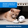PetSafe FroliCat Interactive Cat Toy for Playing & Hunting -