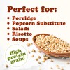 Food to Live Organic Italian White Whole Grain Sorghum, 1.5