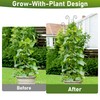 32.6In Plant Trellis for Climbing Plants | 2 Pack Monstera