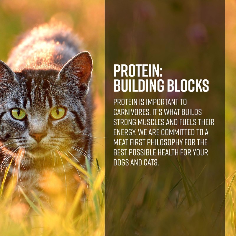 Essence AIR & Gamefowl CAT Recipe Dry CAT Food, 4LB