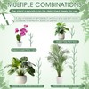 Honeydak 18 Pack Monstera Plant Support Plant Support Stakes for