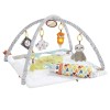 Fisher-Price Perfect Sense Deluxe Gym Baby Infant 0 Months +