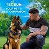 TECEUM Reflective Dog Collar – Navy Blue – M –