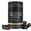 Shilajit Gummies, Pure Himalayan Shilajit Gummies Gold, No Added Sugar