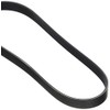 Dayco 6PK800 Poly Rib Belt
