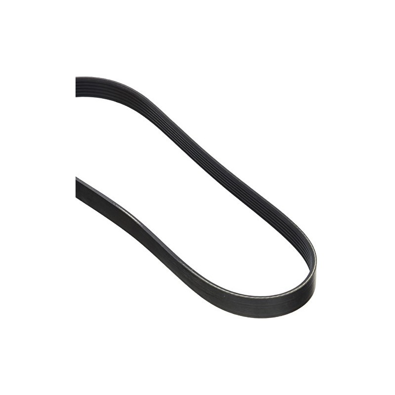 Dayco 6PK800 Poly Rib Belt