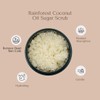 Organic To Green Rainforest USDA Organic Sugar Coconut Oil Scrub
