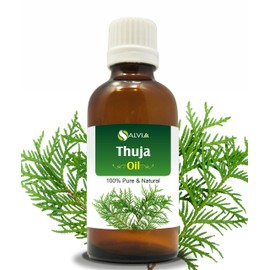 Thuja Oil (Thuja Orientali) Essential Oil 100% Pure & Natural - Undiluted Uncut Cold Pressed Aromatherapy Premium Oil - Therapeutic Grade - 15 ML