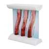 Lipoprotein LDL Blood Vessel Model Low Density Blood Lipid Vessel