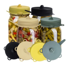 Fermentation Lids Airlock, 4Pack, 2.5-inch Regular, Burping Lid Mason Jar, Fermenting Lid Kimchi, Pickles, Sauerkraut, Fermentation Lids for Mason Jars EasyLid Fermenting Kit The Spirit of the Forest