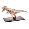 4D Master 26092 Famemaster 4d Vision T-rex - Modelo Anatómico