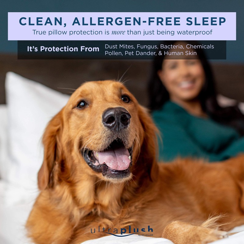 UltraPlush Pillow Protector- Waterproof & Hypoallergenic Covers - Dust Mite