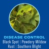 BioAdvanced Shrub Care Protect & Feed, Granules, 10 LB