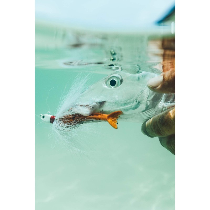 Berkley Gulp! Saltwater Fishing Soft Bait