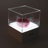 Rose Night Light Romantic Small USB Charging Soft Brightness Decoration
