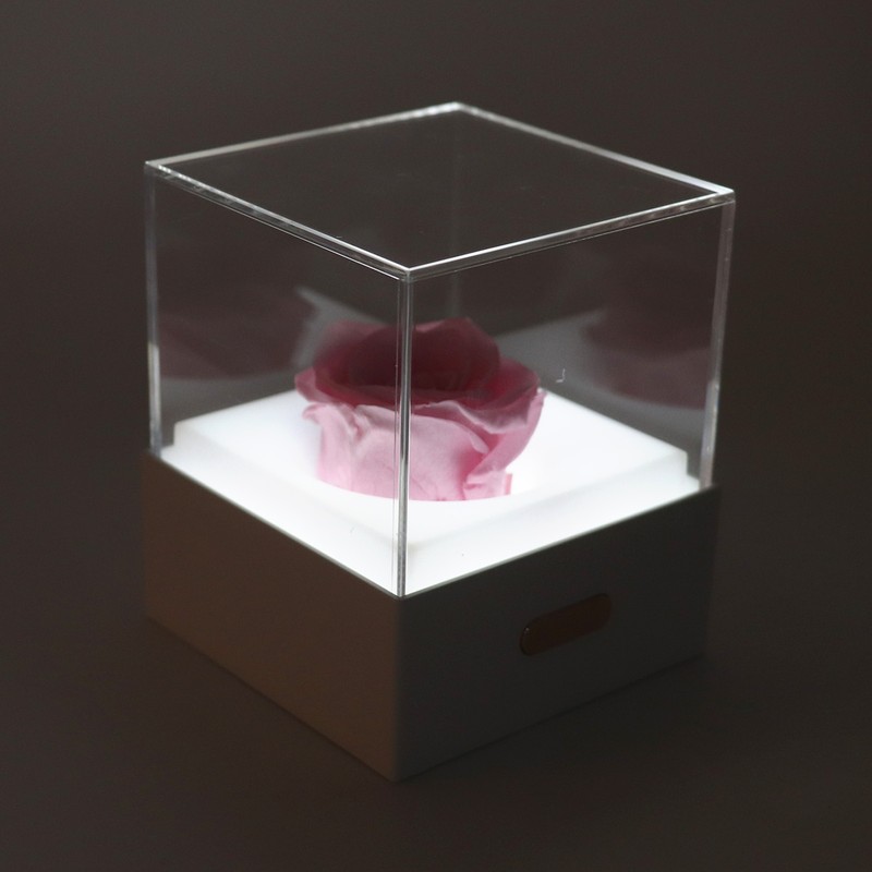 Rose Night Light Romantic Small USB Charging Soft Brightness Decoration