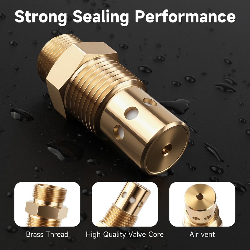 AIYOYOLIFE Air Compressor Check Valve 1/2 npt & 1/2 CFPC