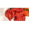 Fresh Carolina Reaper seeds | World Record Holder | SUPER-HOT