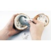 Stainless Steel Coconut Scraper Tool, Manual Grater with Serrated Blade