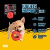 Fancy Pets Juguete Bola Mini Xtreme para Perros Resistente Masticable