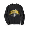 Augustana Institute of Technology Arch Retro for Men Women Sweatshirt