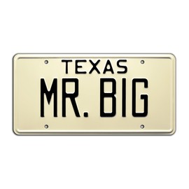 Smokey and The Bandit | MR. Big | Metal Stamped License Plate