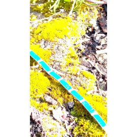 Raphaelos Owhyhee Blue Tennis Bracelet Fire Opal 950 Sterling Silver Jewelry Chain