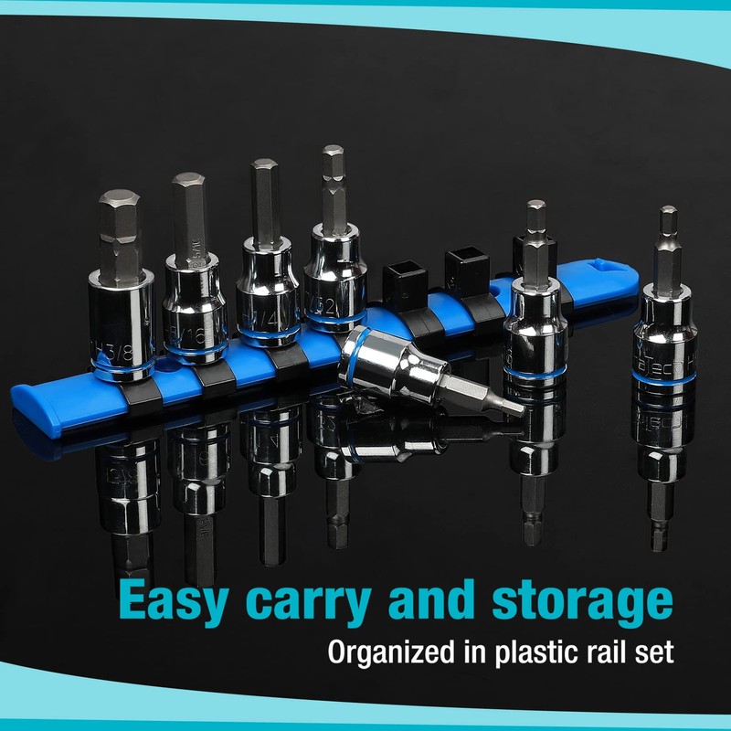 DURATECH Allen Bit Socket Set, 3/8'' Drive Torx, 21-Piece, Premium