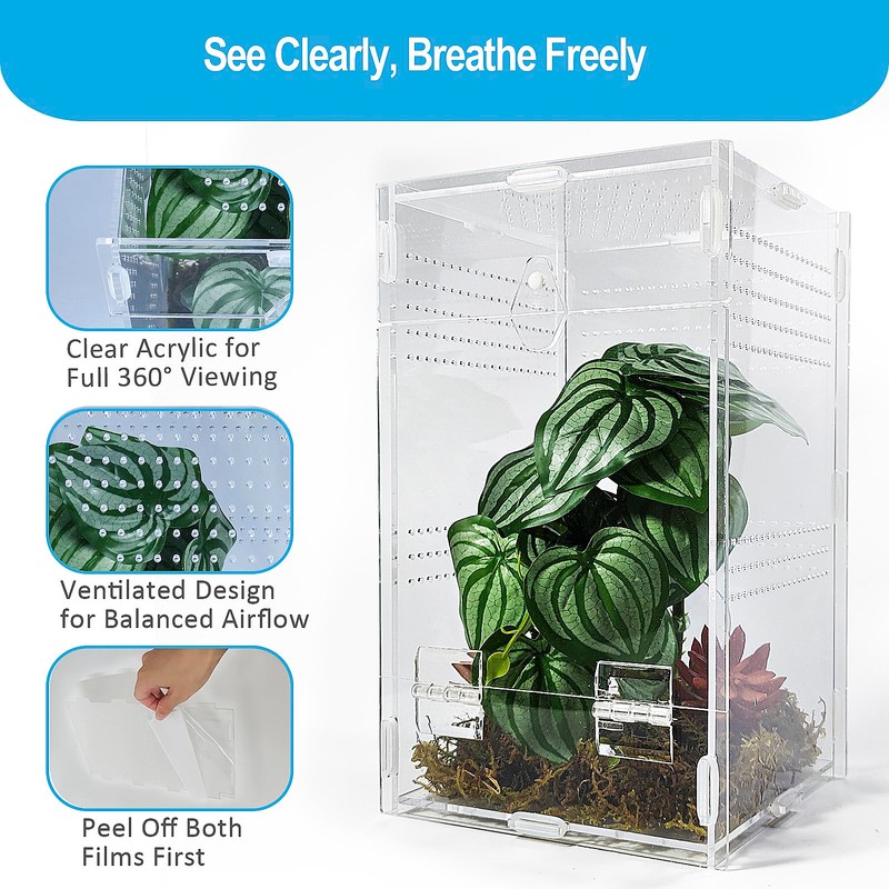 Duedusto Jumping Spider Enclosure 6”x6”x10”, Arboreal Tarantula Enclosure, Praying Mantis