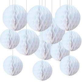 12pcs White Paper Honeycomb Balls,Hanging Tissue Pom poms for Party Decoration,6inch&10inch